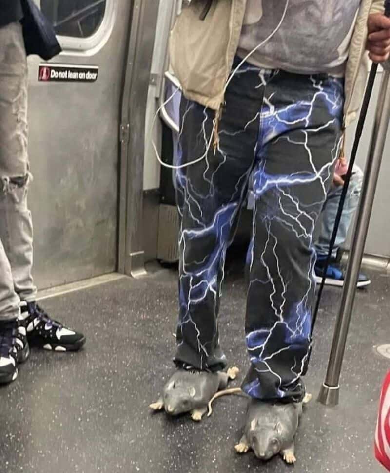 Person with lightning-patterned pants standing on two giant rats in a subway.