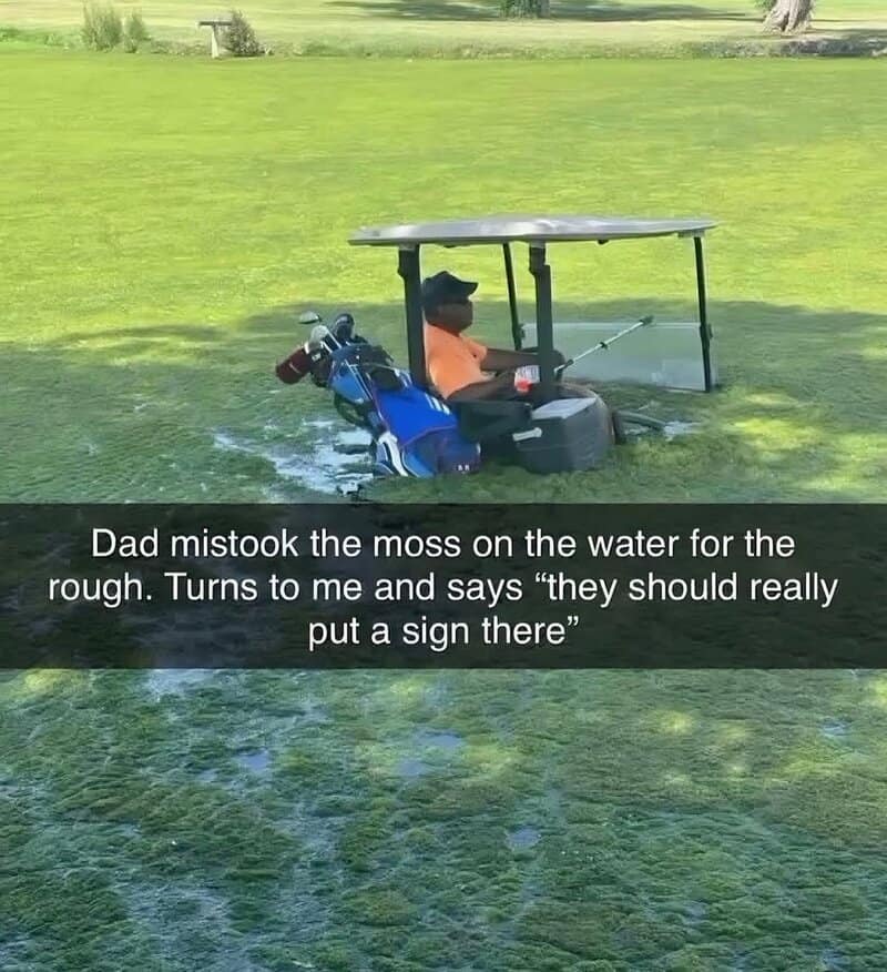 Dad in a golf cart mistook moss for water, telling his son to put a sign there.