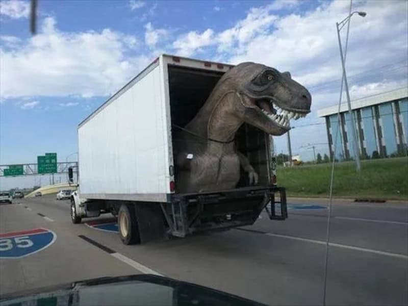A dinosaur head sticking out of a truck on a highway.