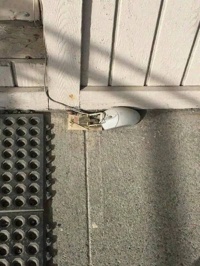 A security light attached to a wall with exposed wiring and a power outlet.
