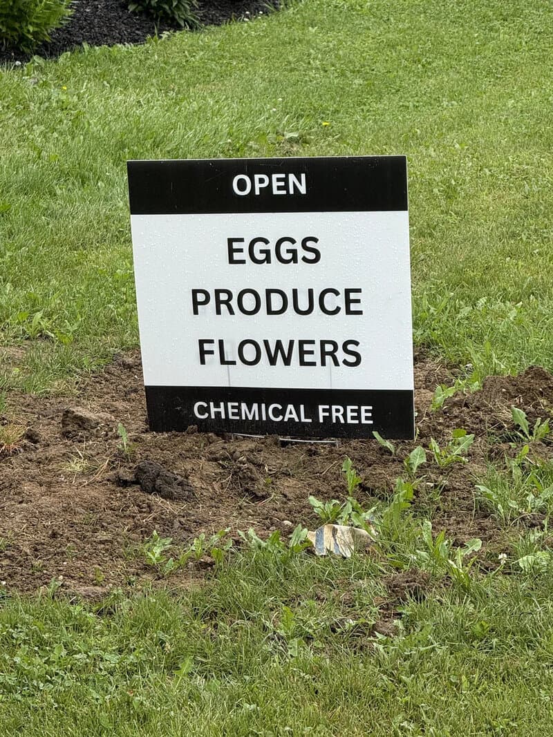 Sign reads 'OPEN EGGS PRODUCE FLOWERS CHEMICAL FREE' in a garden.