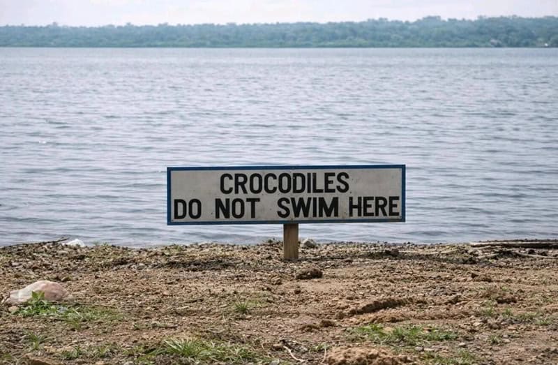 Crocodiles do not swim here sign by a lake.