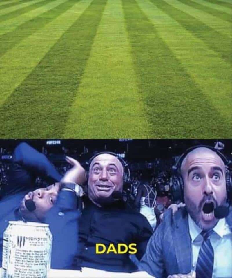 Funny image of three men with surprised expressions, labeled 'DADS'.