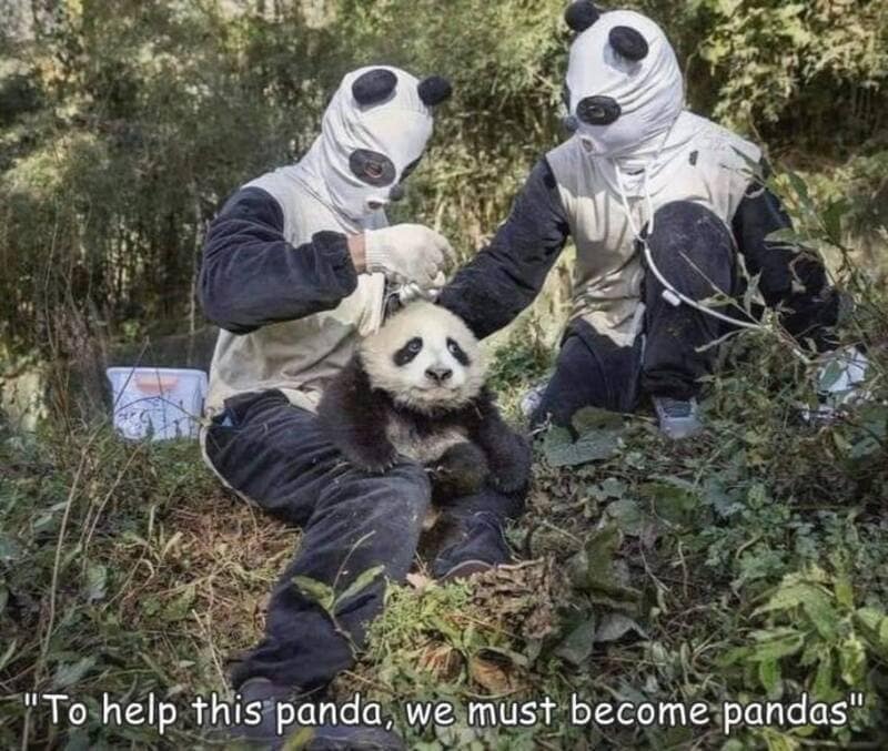 Two people in panda masks with a panda cub, captioned 'To help this panda, we must become pandas'.