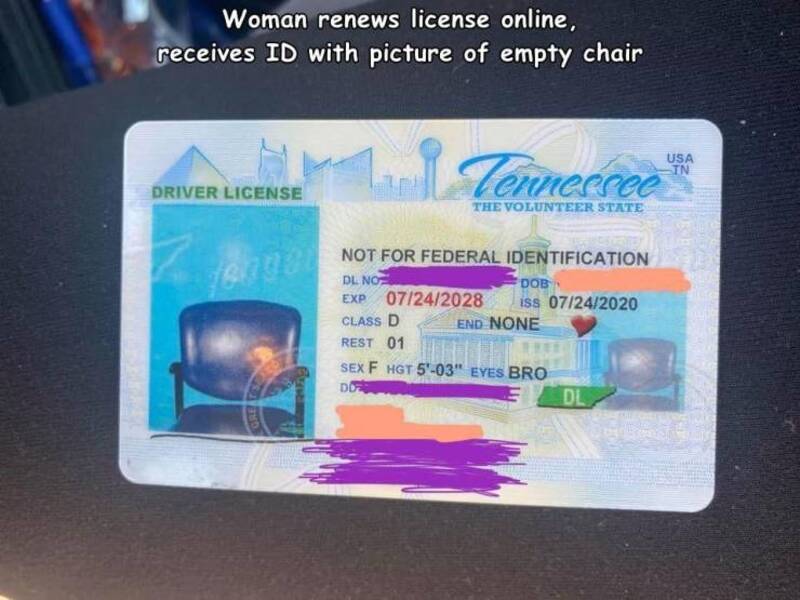 Woman renews license online, receives ID with picture of empty chair.