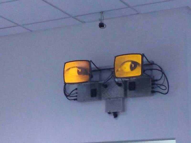 Two monitors with eyes, resembling a face, on a wall in an office.