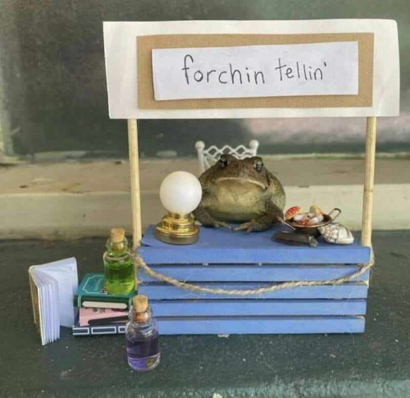 "forchin tellin'" sign above a frog sitting on a blue platform with various bottles and objects arou.