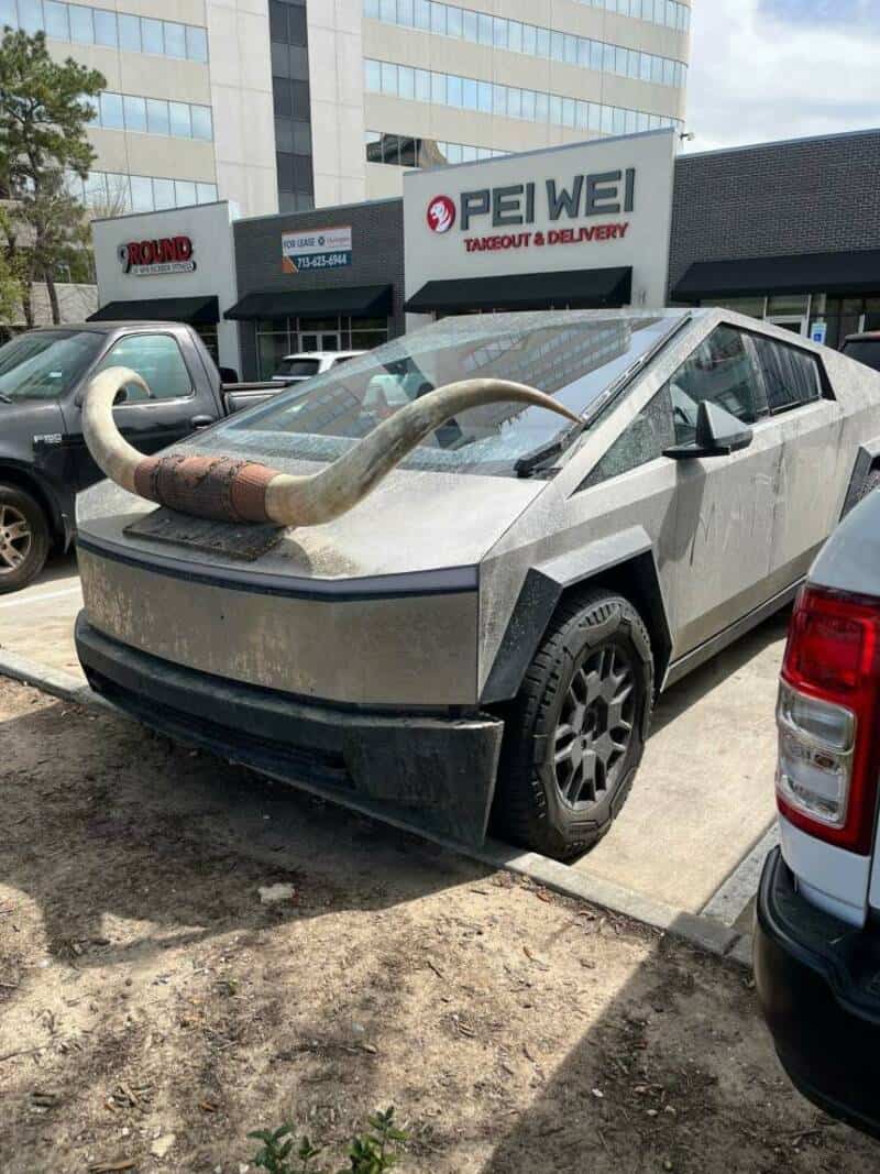 Car with large animal horn mounted on the front, parked outside a store.