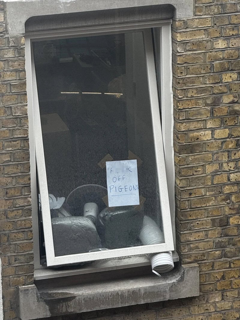 F. K. OFF PIGEONS sign in window with pigeons inside.