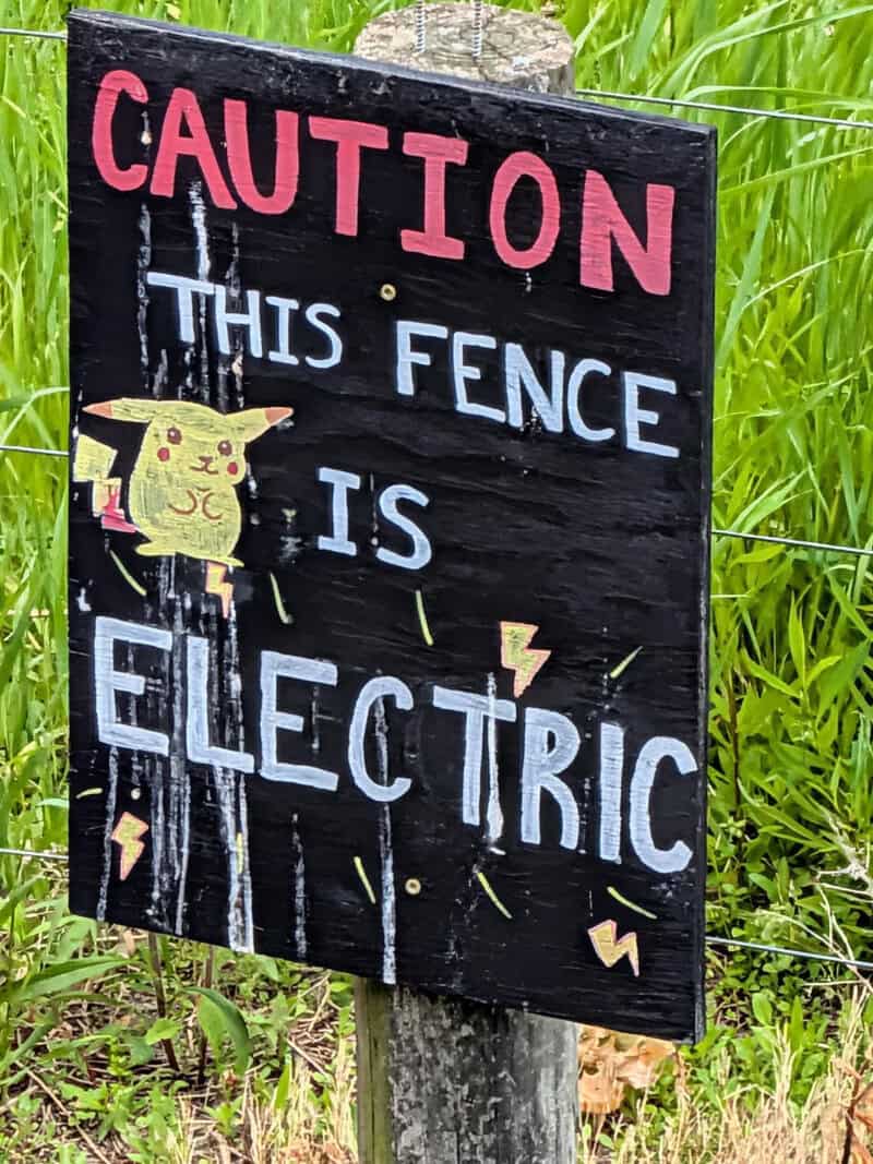 CAUTION THIS FENCE IS ELECTRIC Pikachu illustration with lightning bolts.
