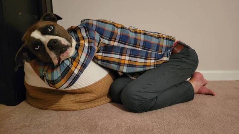 A dog lying on a bed with a plaid shirt, looking at the camera.
