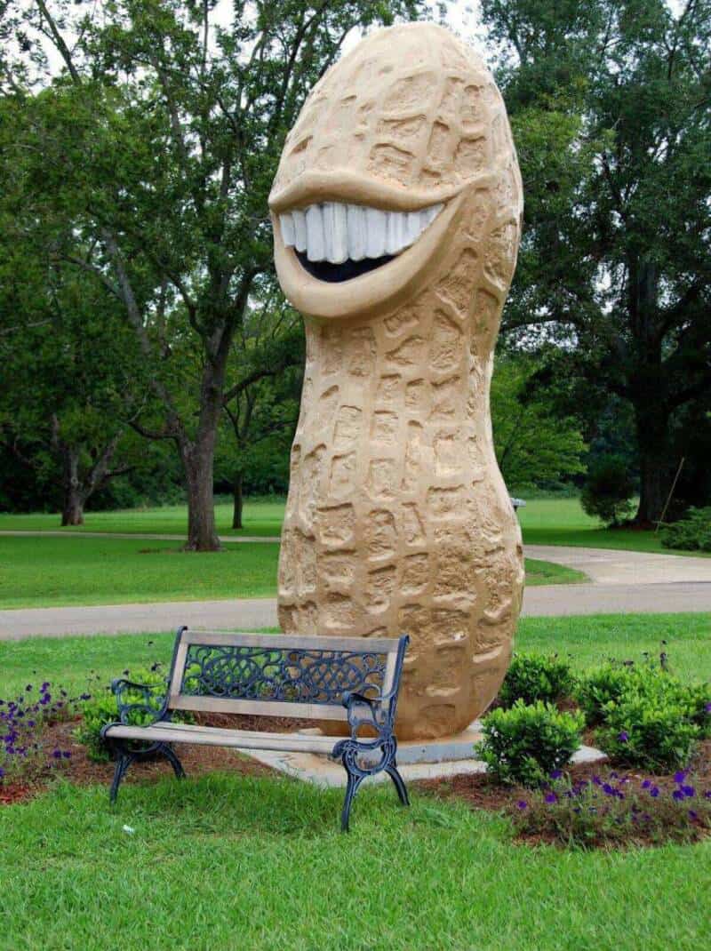 A giant peanut sculpture with a big smiling mouth and white teeth in a park setting.