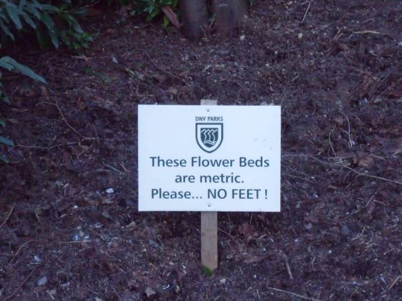 "These Flower Beds are metric. Please... NO FEET !".