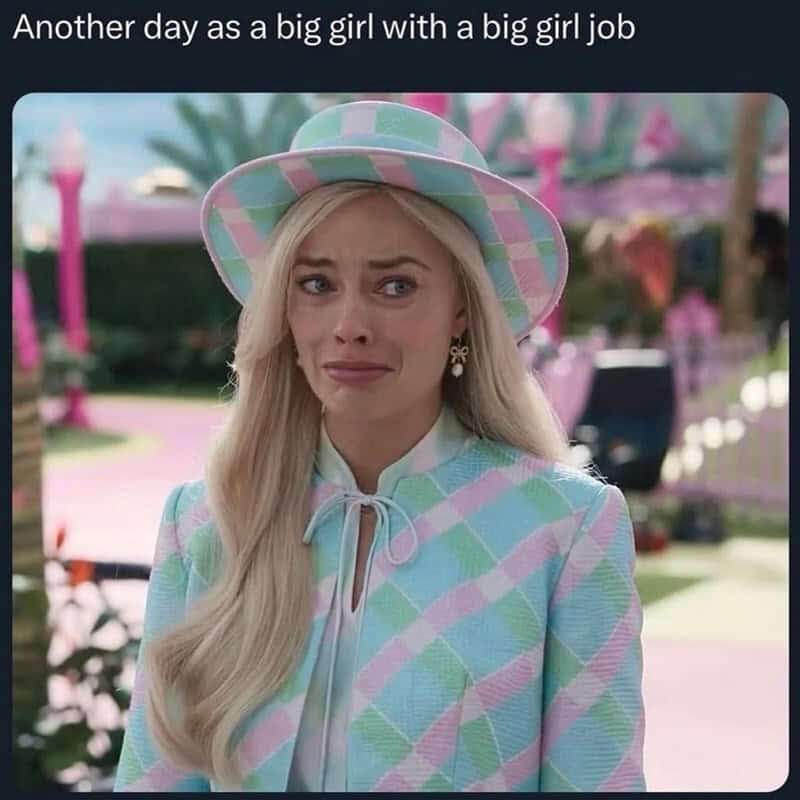 Woman in pastel plaid outfit with a hat, looking distressed, captioned 'Another day as a big girl...