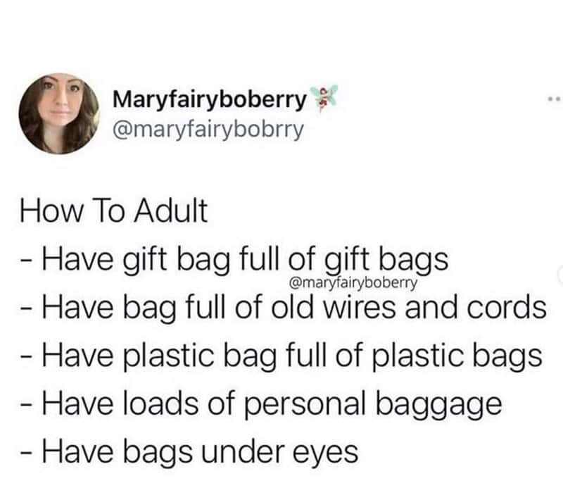 How To Adult meme about carrying multiple bags and baggage.