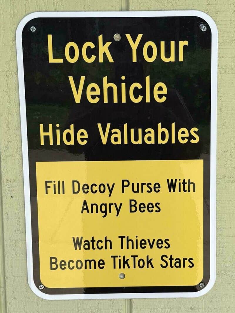 Lock Your Vehicle Hide Valuables Fill Decoy Purse With Angry Bees Watch Thieves Become TikTok Stars.