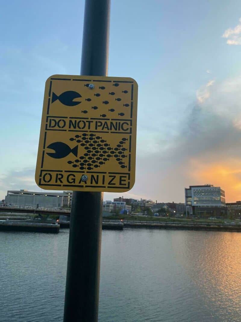 Swimming area sign with fish illustrations and "DO NOT PANIC ORGANIZE" text, near a river at sunset.