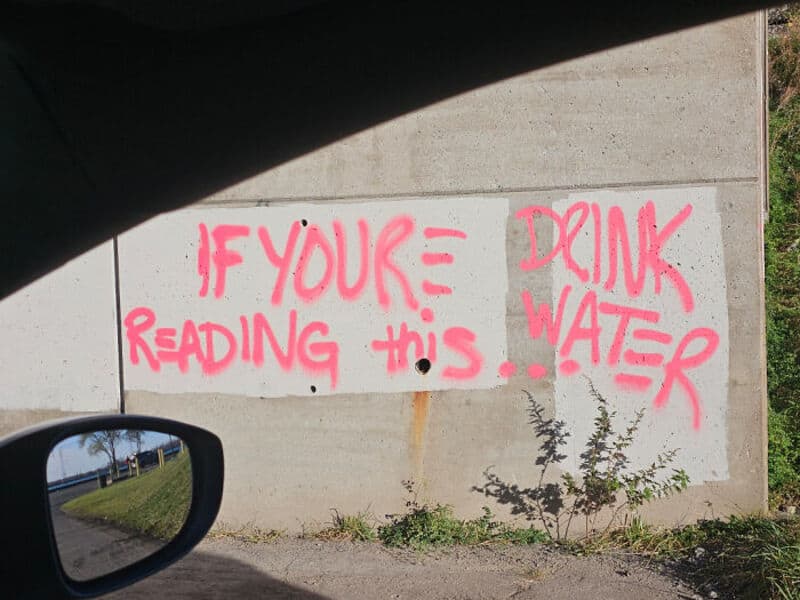 Graffiti on a concrete wall reads 'IF YOU'RE READING this... DRINK WATER' in pink spray paint.