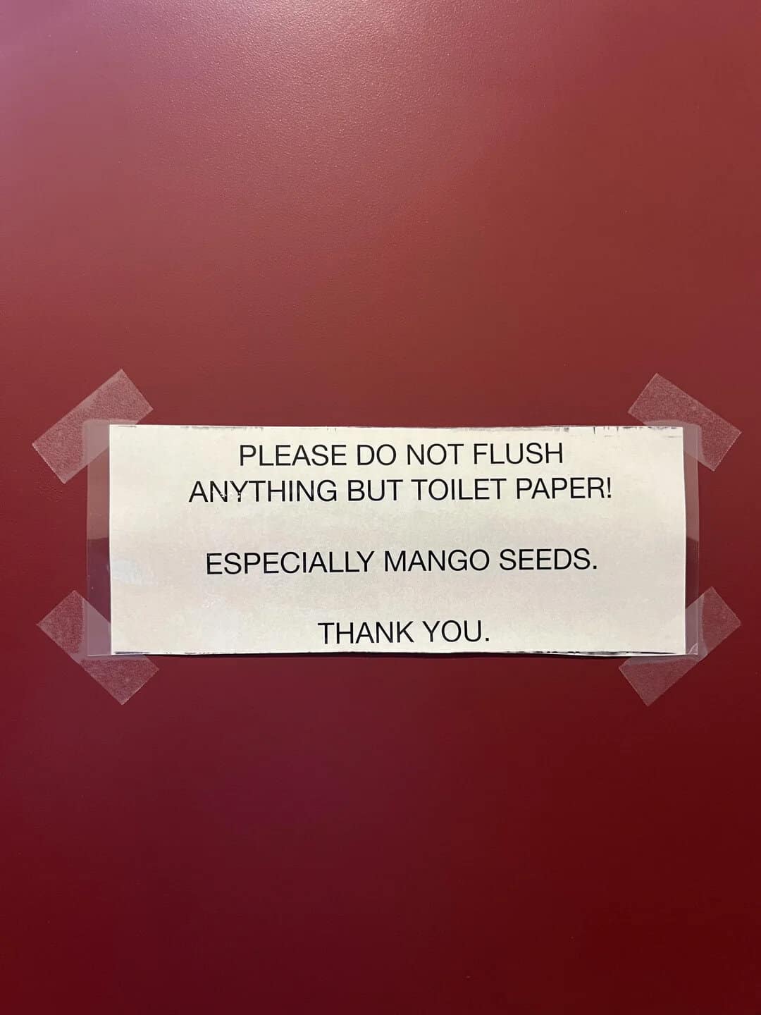 Please do not flush anything but toilet paper! Especially mango seeds. Thank you.