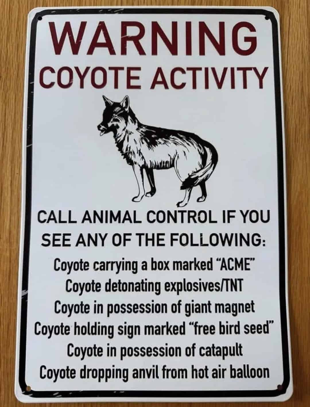 Coyote activity with a list of coyote behaviors and signs.