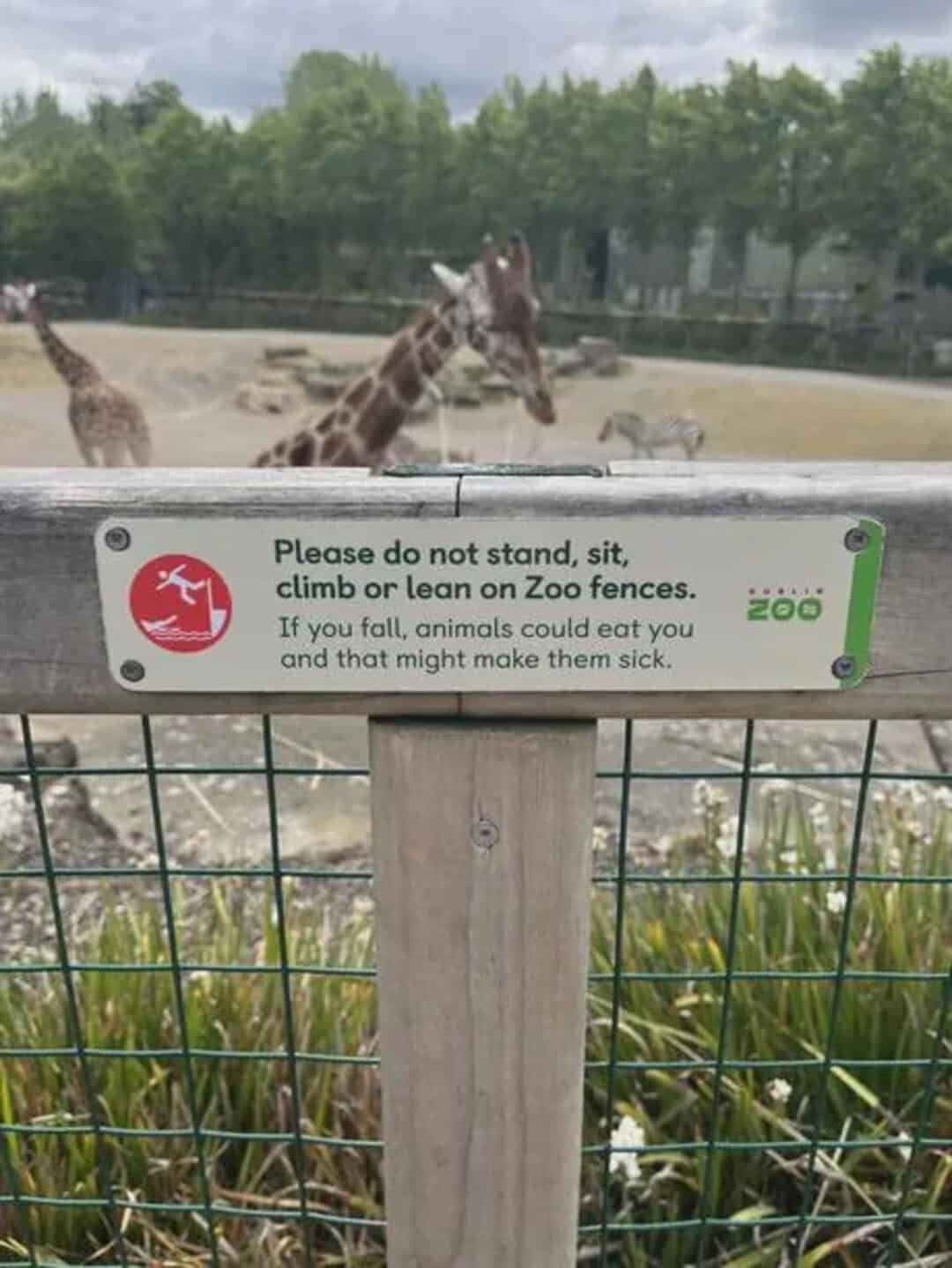 Please do not stand, sit, climb or lean on zoo fences. If you fall, animals could eat you and that m.