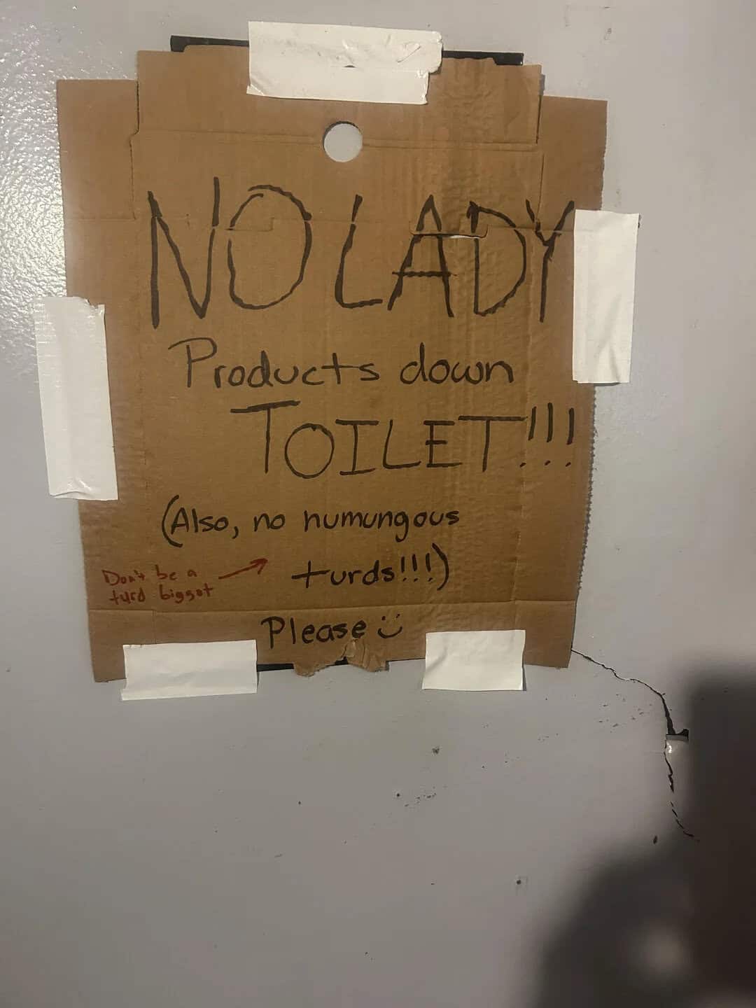 No lady products down toilet sign with humorous note and taped to wall.