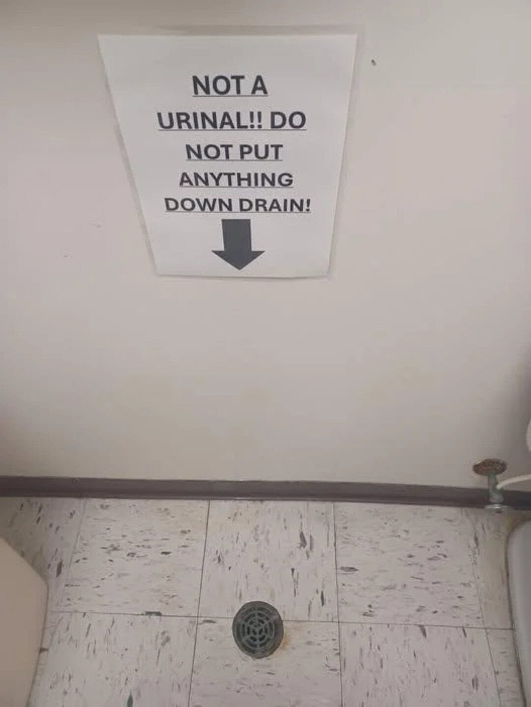 NOT A URINAL!! DO NOT PUT ANYTHING DOWN DRAIN!.