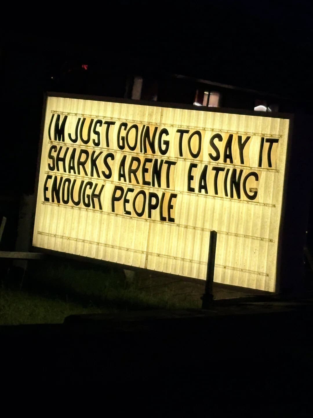 'I'm just going to say it sharks aren't eating enough people'.