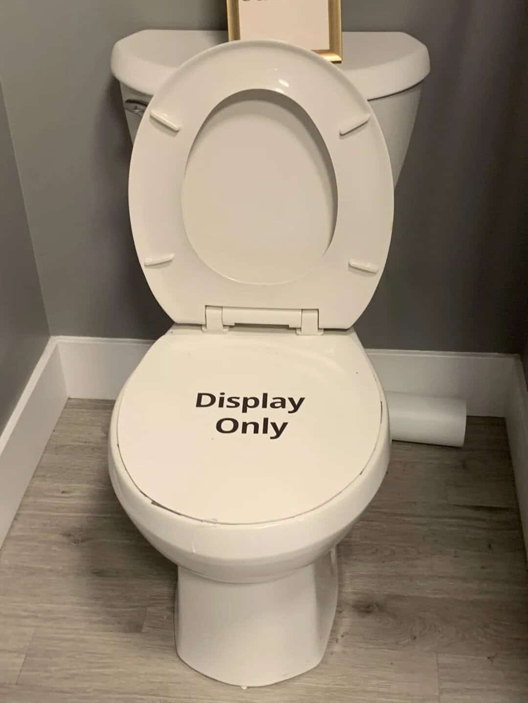 Toilet with a sign that says 'Display Only' on the seat.