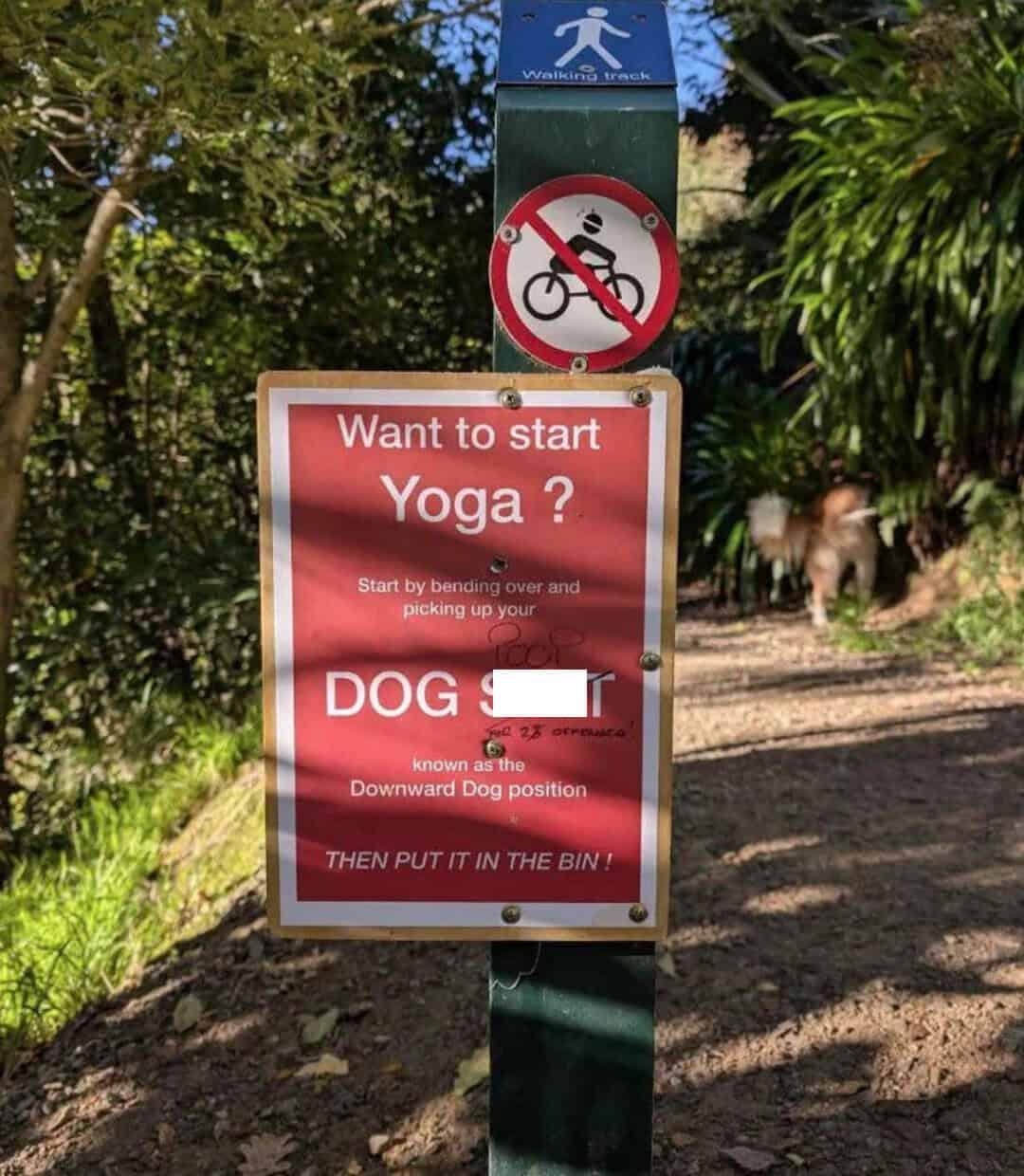 Sign about starting yoga by bending over and picking up a dog, with a no cycling sign above.