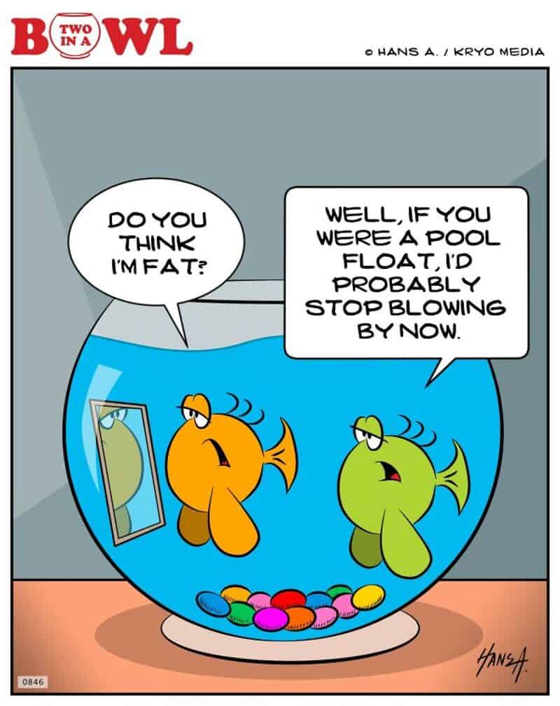 Fish in a bowl, one asks if the other thinks he's fat, the other says he'd stop blowing if he were a.