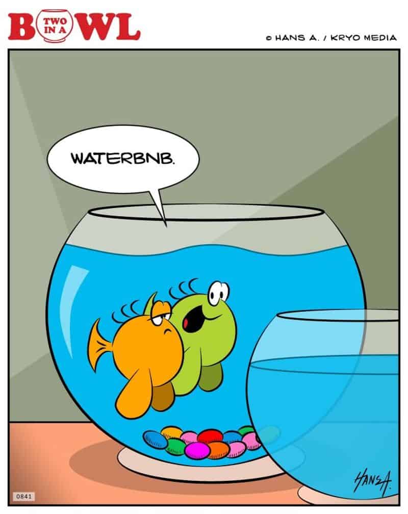 Two fish in a bowl, one says 'WATERBNB.'.