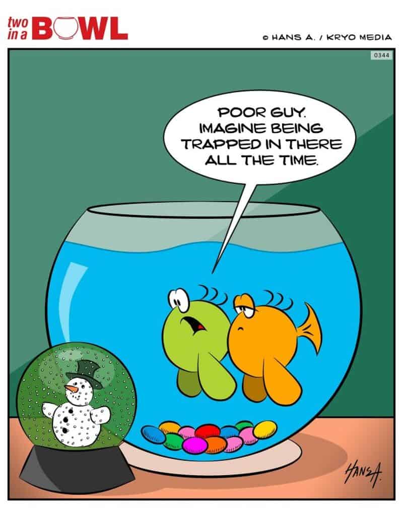 Two fish in a bowl talk about being trapped in there all the time.