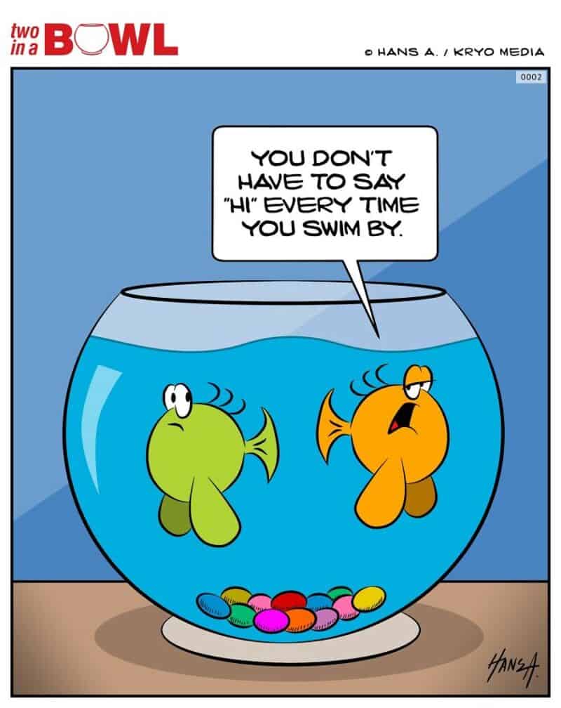 Fish in a bowl with one saying, 'You don't have to say hi every time you swim by.'.
