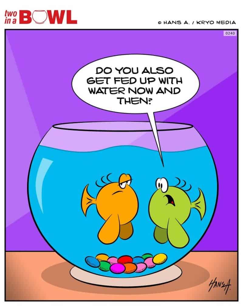 Two fish in a bowl, one asks the other if they get fed up with water.