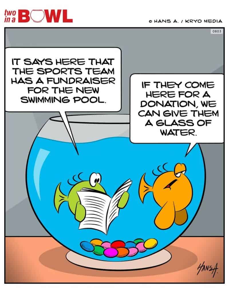 Fish and dog in a fishbowl discussing a swimming pool fundraiser.