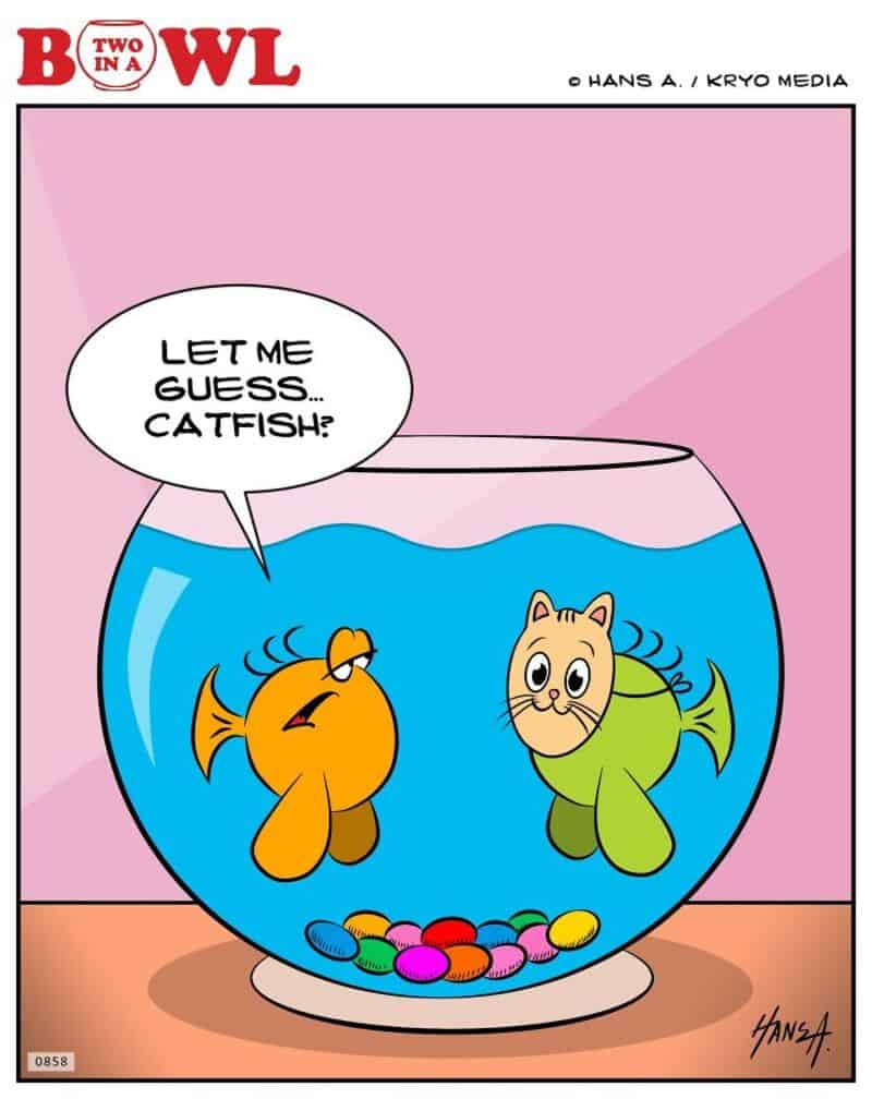 Catfish and fish in a bowl, with catfish saying 'Let me guess... catfish?'.
