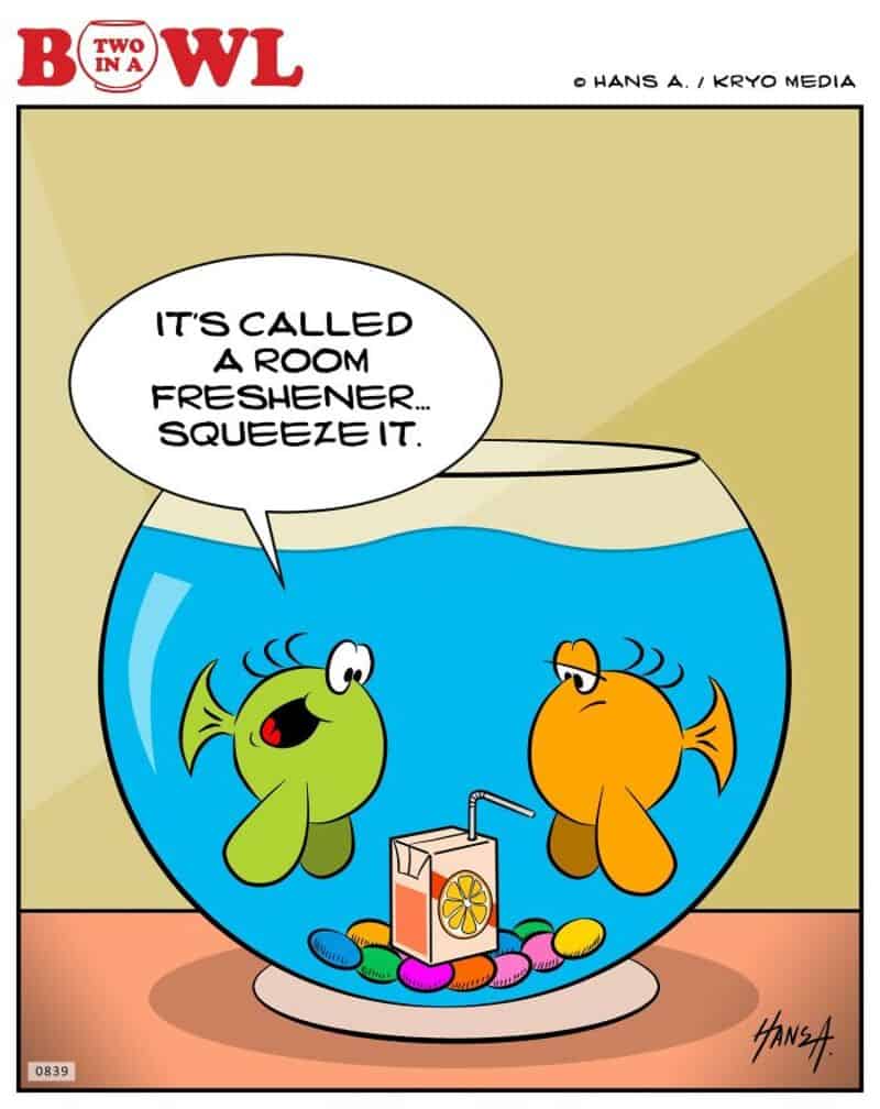 Two fish in a bowl, one says it's called a room fresher, squeeze it.