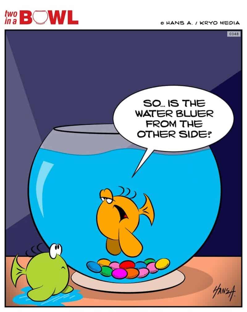 Fish asks if the water bluer from the other side of the bowl.