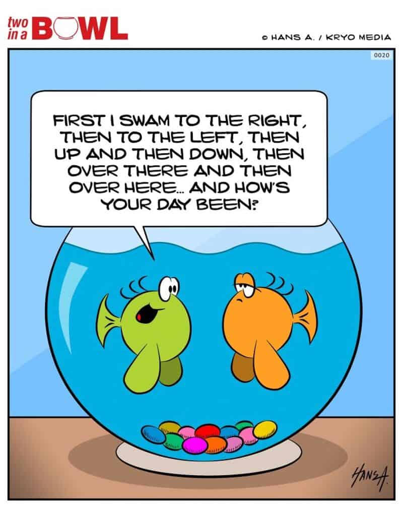 Two fish in a bowl, one explaining their swimming pattern and asking about the other's day.