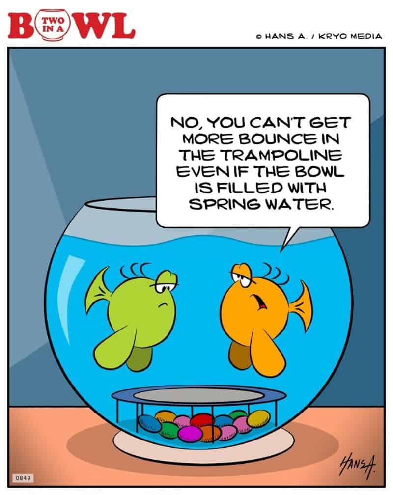 Two fish in a bowl, one says, 'No, you can't get more bounce in the trampoline even if the bowl is.