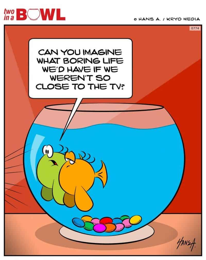Fish and frog in a bowl with a speech bubble about TV and boring life.