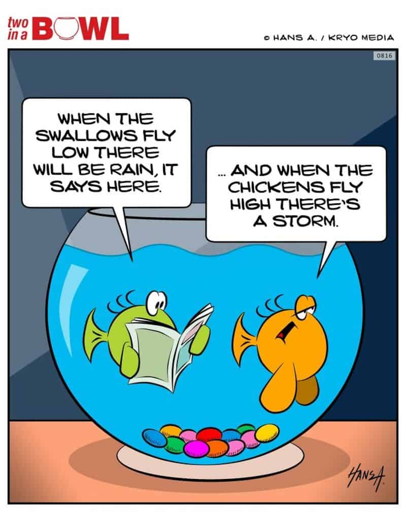 Fish and chicken in a fishbowl with speech bubbles about weather.