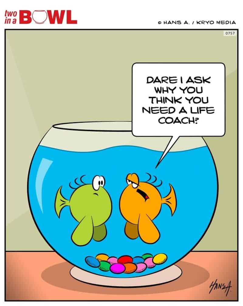 Two fish in a bowl, one asks the other about needing a life coach.