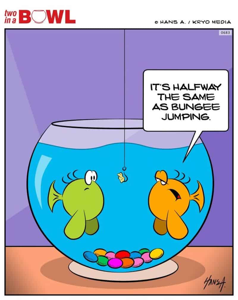 Two fish in a bowl, one says it's halfway the same as bungee jumping.