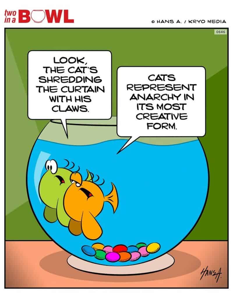 Fish in a bowl talk about a cat shredding a curtain and chaos.