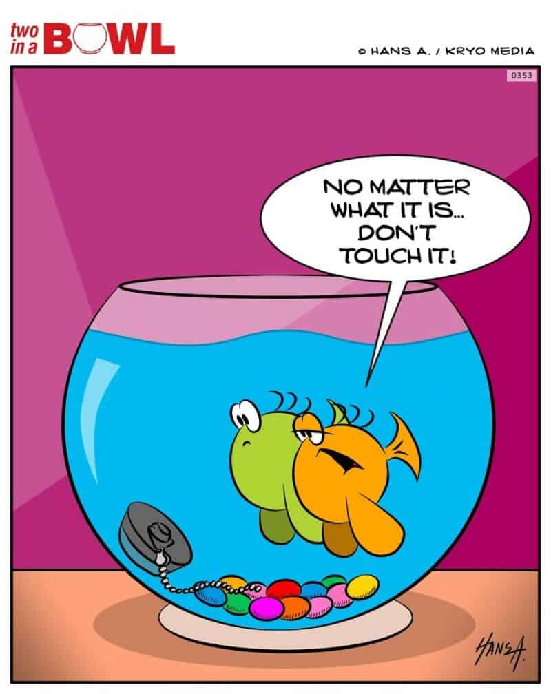 Fish and frog in a bowl with a sign saying 'No matter what it is... don't touch it!'.