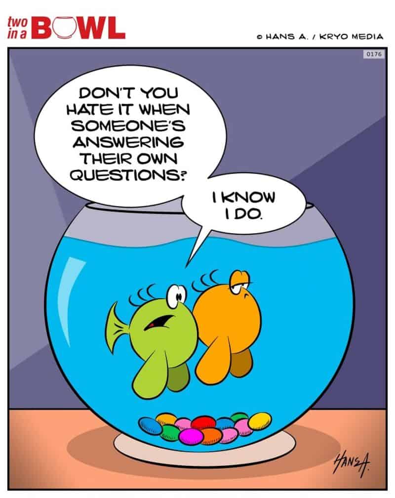 Fish and orange fish in a bowl talking about answering their own questions.
