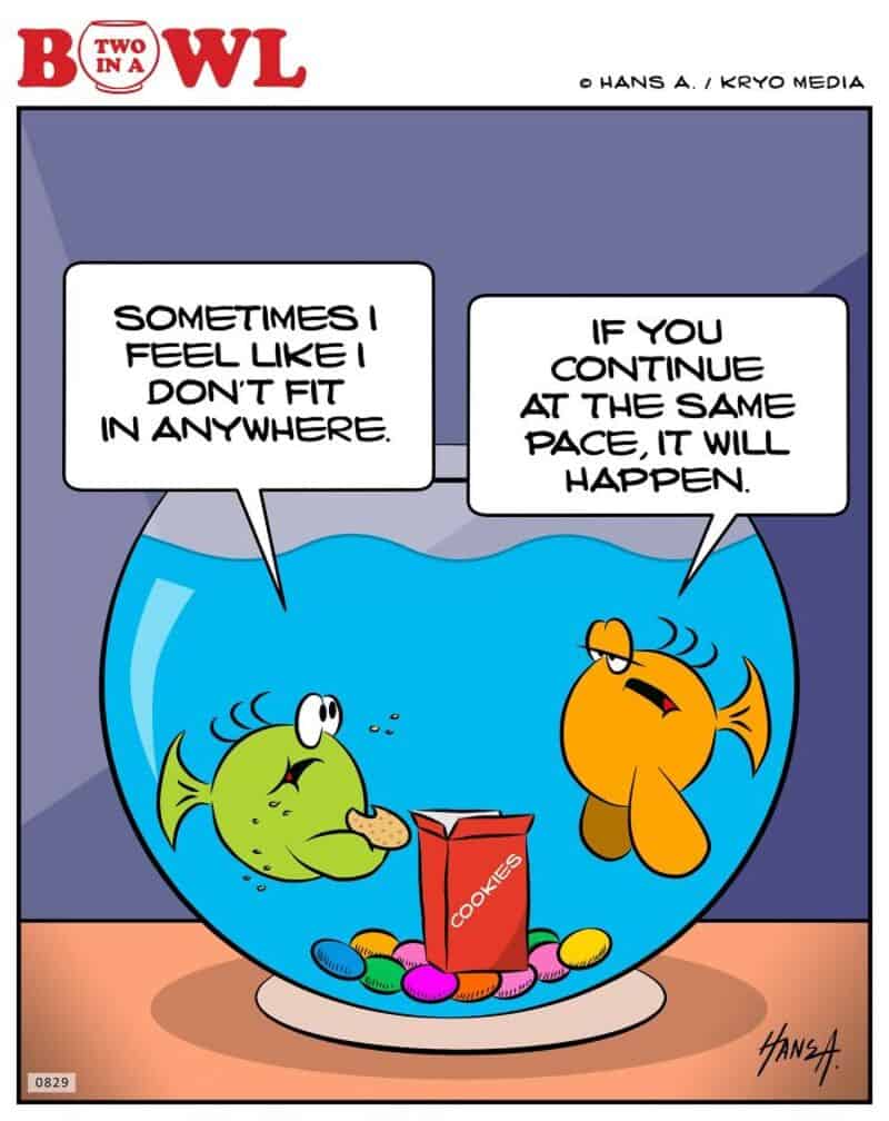 Two fish in a bowl with a cookie and colorful candies, one says sometimes I feel like I don't fit in.