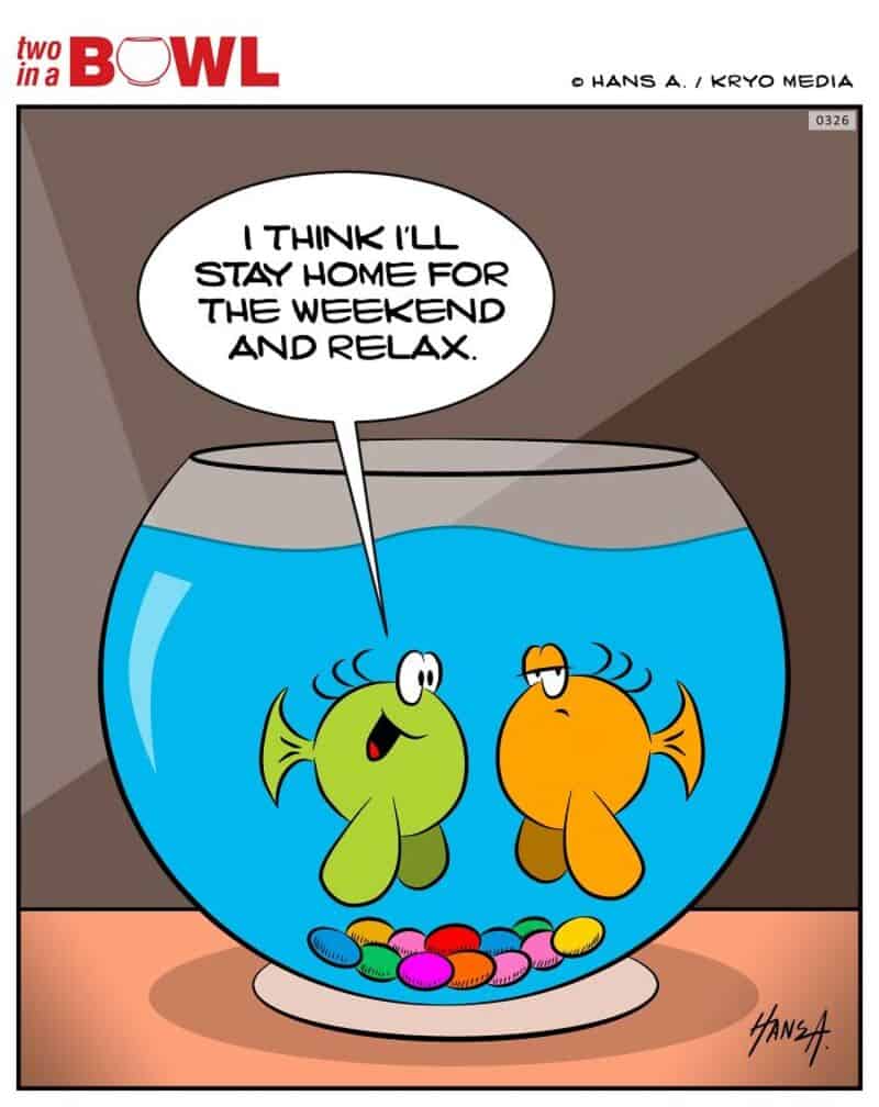 Fish in a bowl with a speech bubble saying, 'I think I'll stay home for the weekend and relax.'.
